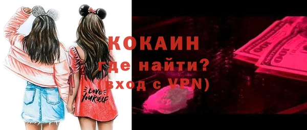 молекула духа Арсеньев