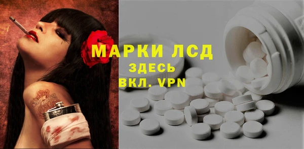 молекула духа Арсеньев