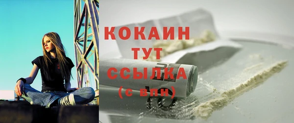 молекула духа Арсеньев