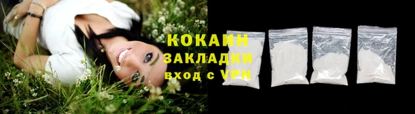молекула духа Арсеньев