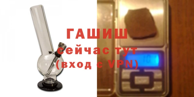 молекула духа Арсеньев