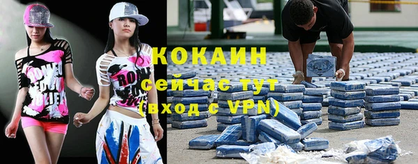 молекула духа Арсеньев