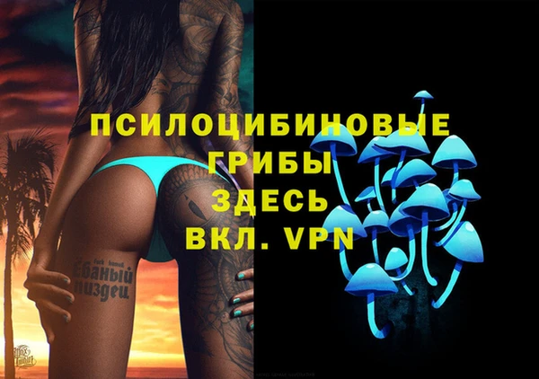 молекула духа Арсеньев
