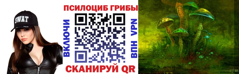 Псилоцибиновые грибы MAGIC MUSHROOMS  кракен ONION  darknet клад  где купить наркоту  Россошь 